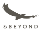 beyond